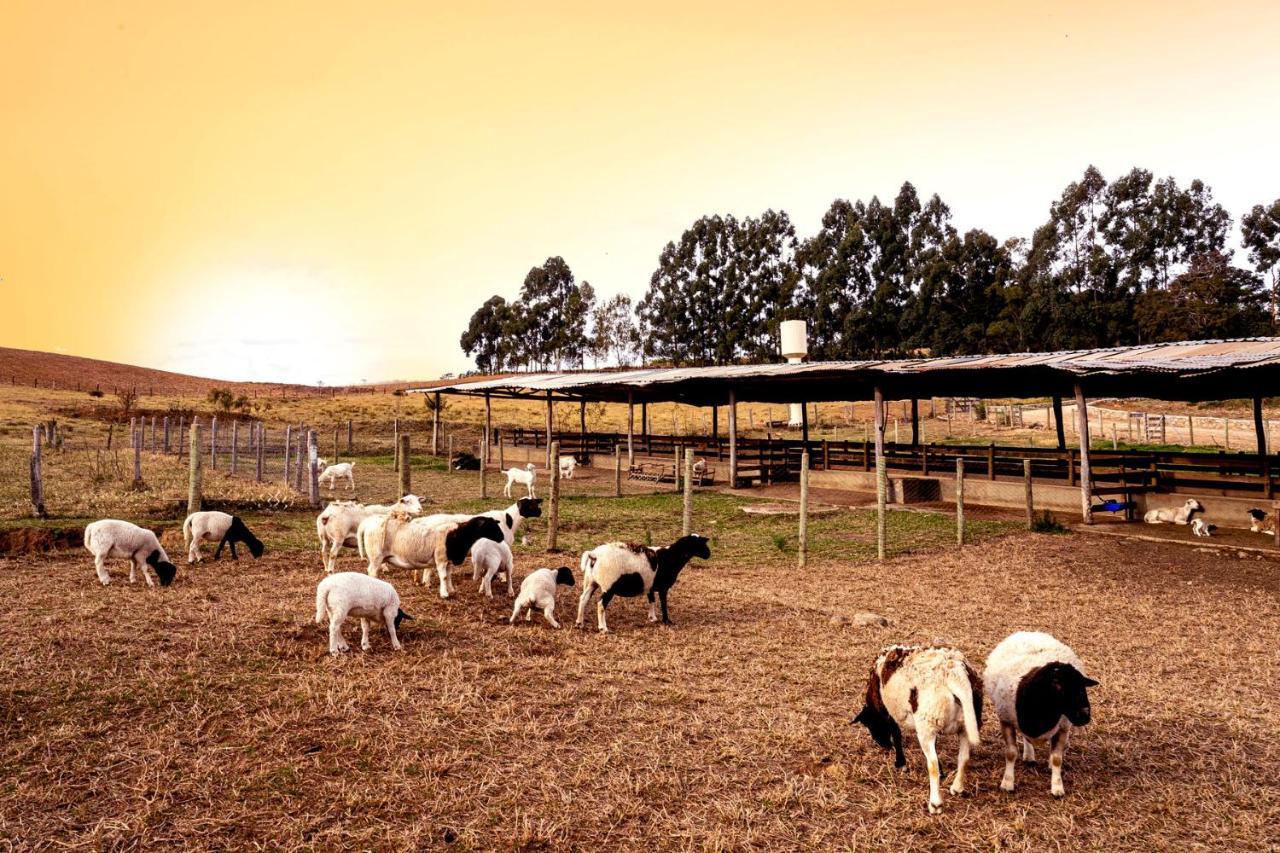 Hotel Fazenda Colina Dos Sonhos Socorro  Buitenkant foto